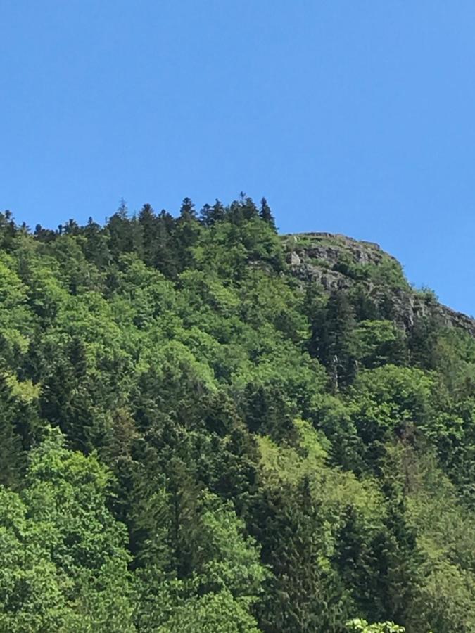 Gite De La Mesange Rochesson Buitenkant foto