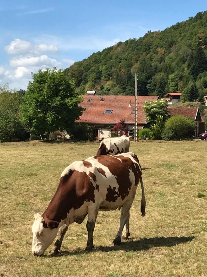 Gite De La Mesange Rochesson Buitenkant foto