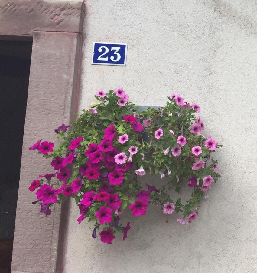 Gite De La Mesange Rochesson Buitenkant foto
